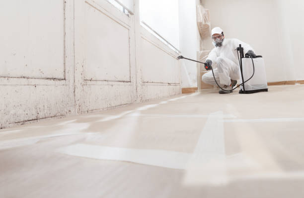 24/7 Emergency Mold Remediation experts in Fort Hill, PA