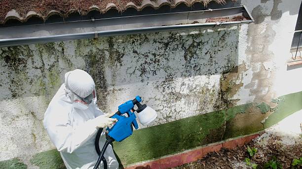 Top rated local Mold Remediation specialists in Fort Hill, PA